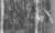 Jews hiding in the wood_tiny